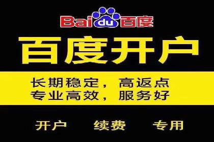 某某sem推广公司实战案例：精准投放提升转化率